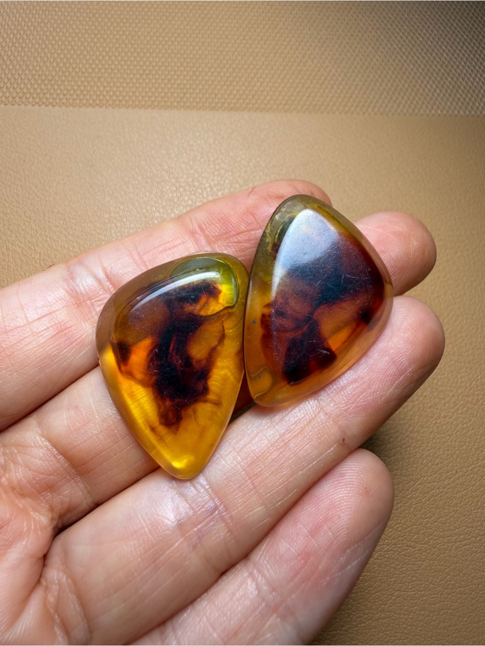 Vintage Tortoiseshell Honey Amber Shield Statement Earrings